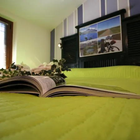 Il Turista A Pedali *