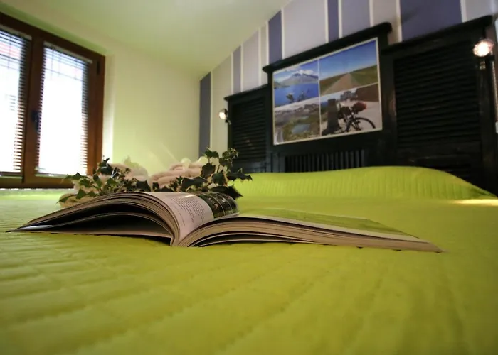 Il Turista A Pedali *